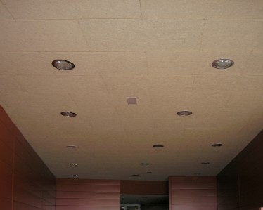 Complejo Deportivo Buesa Arena por Tabiques y Techos R.