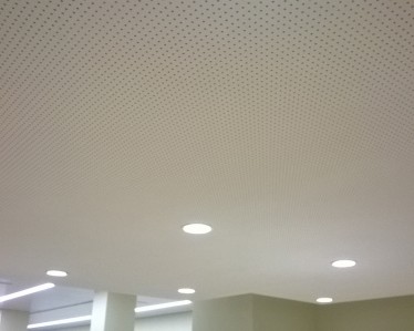 OFICINA BANKIA AVENIDA LA PAZ LOGROÑO por Tabiques y Techos R.