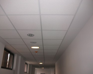 CEIP Gonzalo de Berceo 5